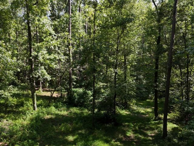 Land for sale in Sharpsburg, Georgia