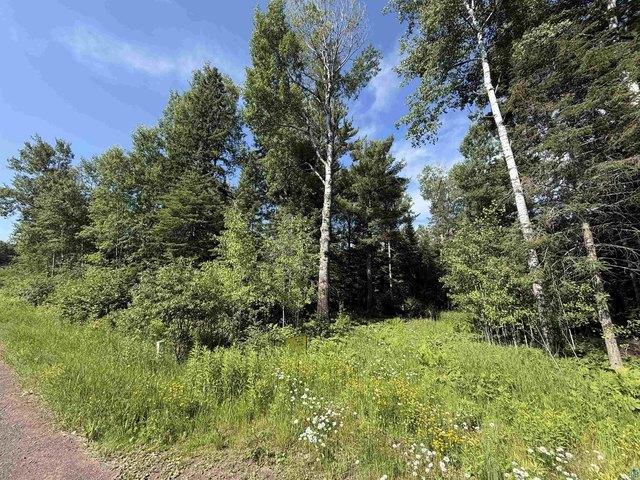 Land for sale in Carlton, Minnesota