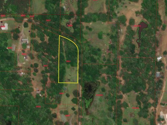 Land for sale in Titus, Texas
