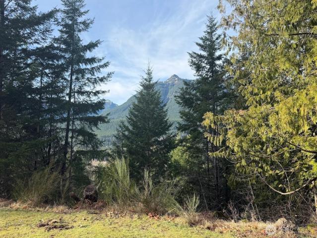 Land for sale in Packwood, Washington
