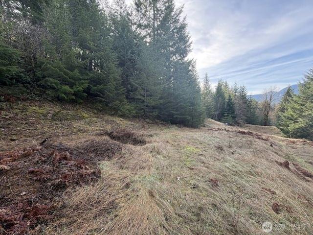 Land for sale in Packwood, Lewis County
