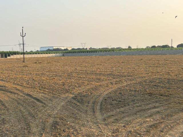 Land for sale in Jharli, Arunachal Pradesh