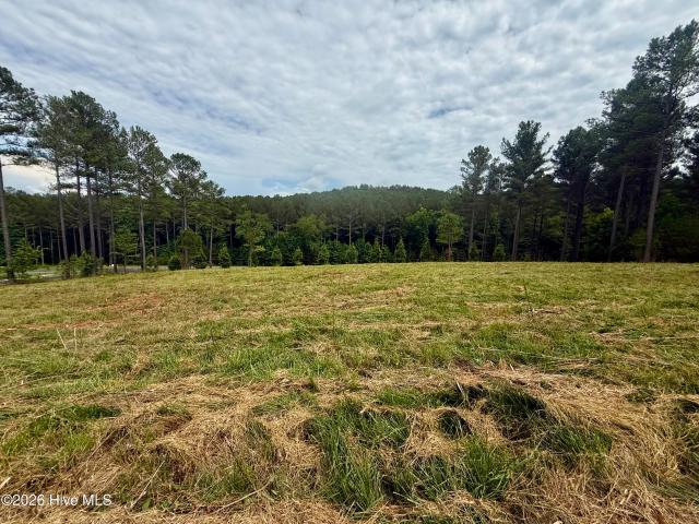 Land for sale in Blairsville, Georgia