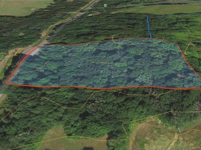 Land for sale in Amery, Wisconsin