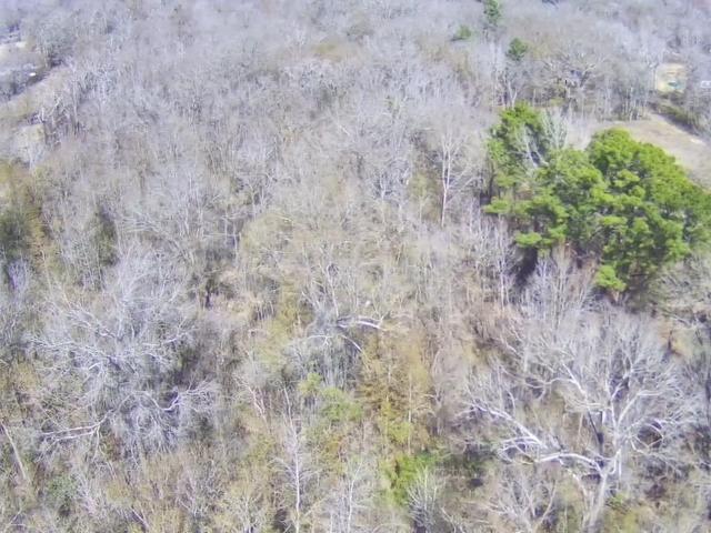 Land for sale in Greenwell Springs, Louisiana