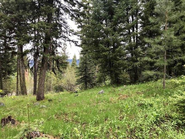 Land for sale in McCall, Valley County