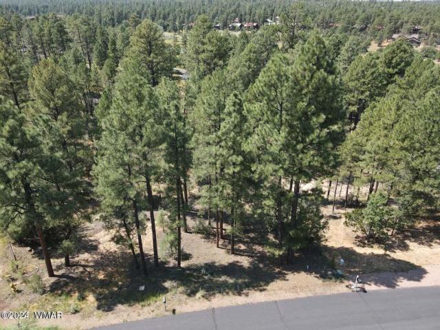 Land for sale in Navajo, Arizona