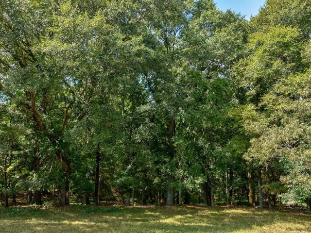 Land for sale in Oconee, Georgia