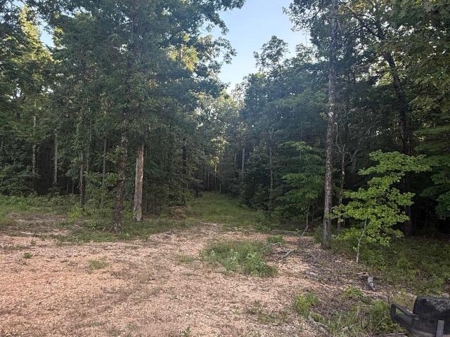 Land for sale in Benton