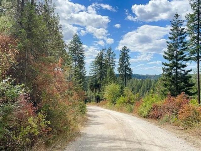 Land for sale in Chattaroy, Washington