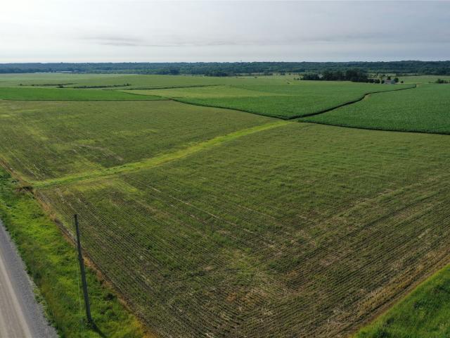 Land for sale in Indianola, Iowa