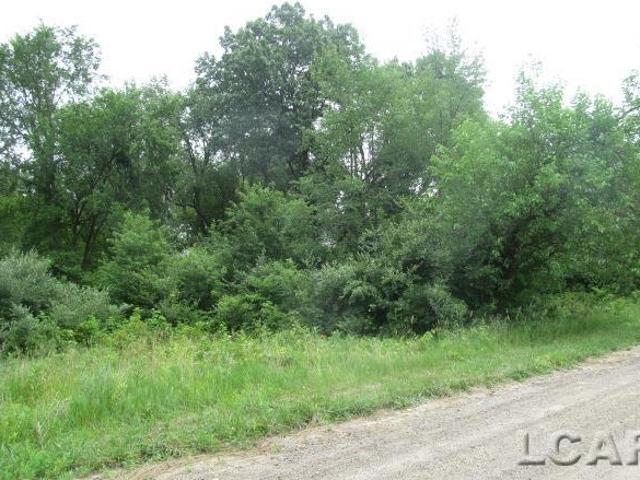 Land for sale in Somerset Center, Michigan