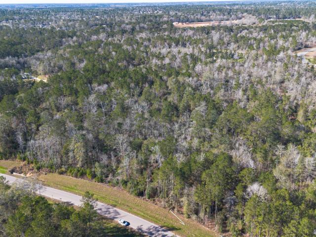 Land for sale in Willis, Texas
