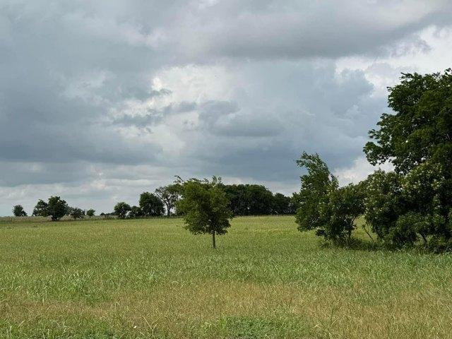 Land for sale in Milam, Texas