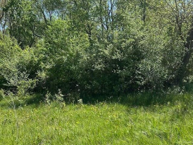 Land for sale in Hillsdale, Michigan