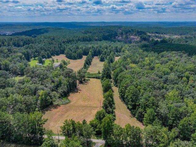 Land for sale in Vance, Alabama