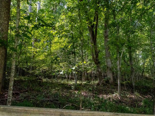 House for sale in Minor Hill, Middle Tennessee