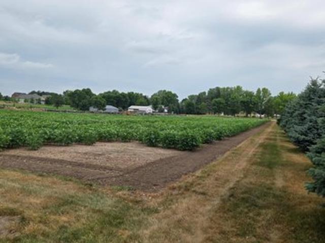 Land for sale in Sartell, Minnesota