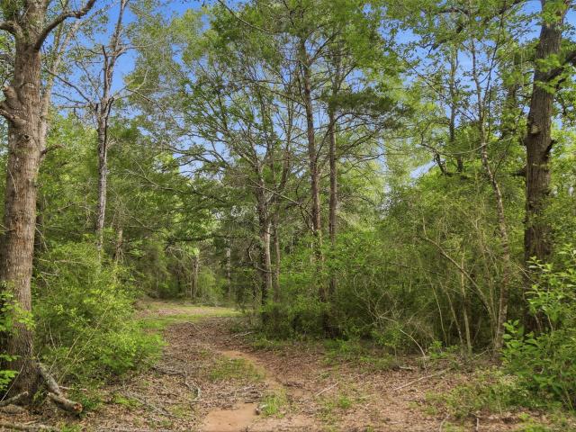 Land for sale in Weimar, Texas