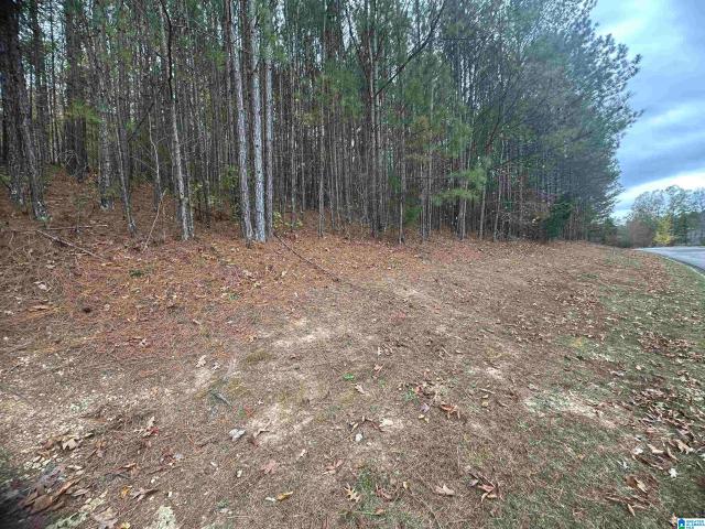 Land for sale in Blount, Alabama