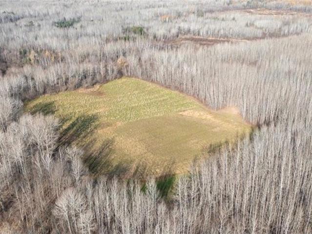 Land for sale in Orr, Minnesota