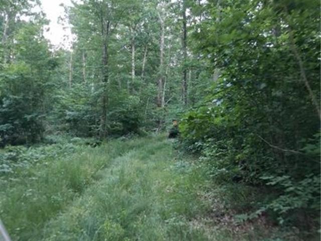 Land for sale in Addison, New York