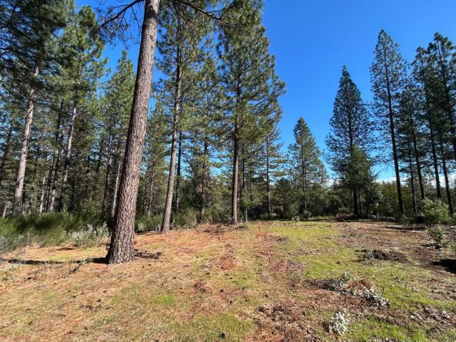 Land for sale in Nevada City, California