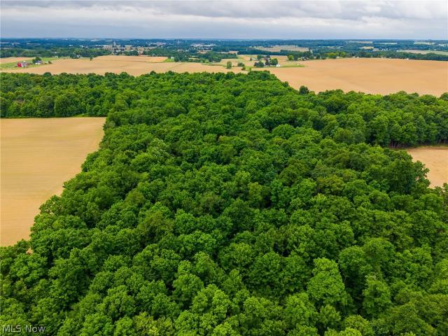 Land for sale in Marshallville, Ohio