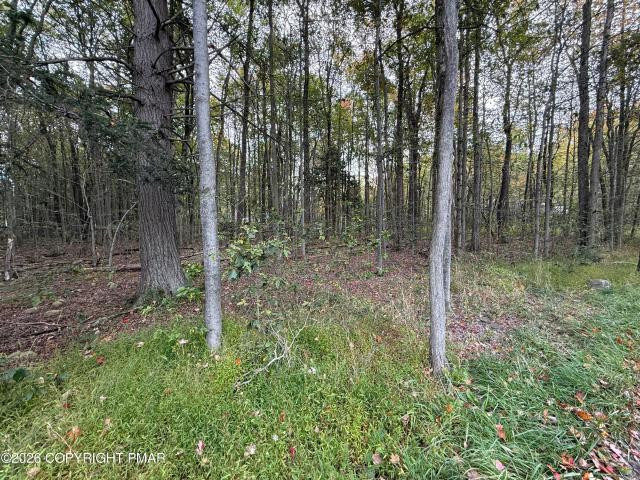 Land for sale in Pocono Pines, Tobyhanna Township