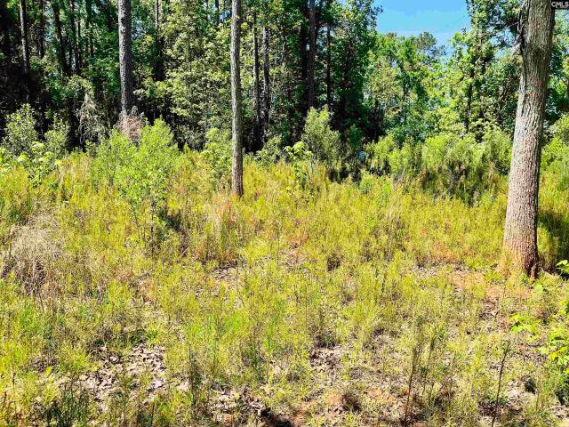 Land for sale in Batesburg, South Carolina