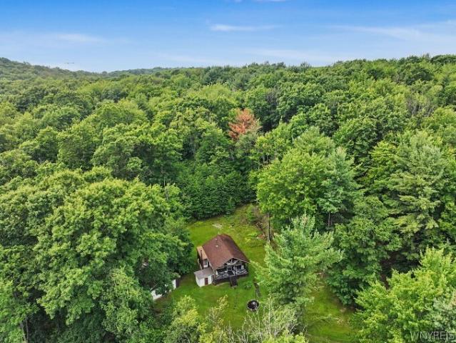 House for sale in Hinsdale, New York
