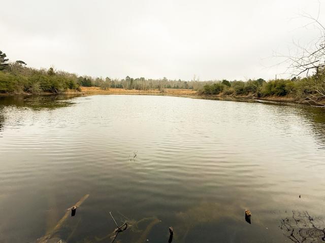 Land for sale in Leon, Texas