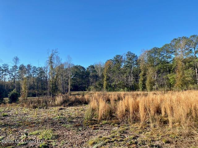 Land for sale in Summit, Pike County