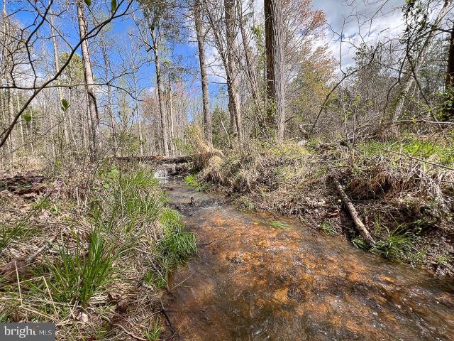 Land for sale in Virginia