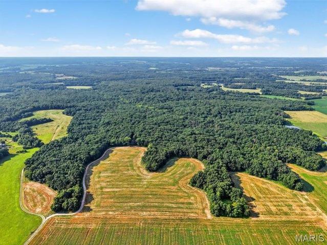 Land for sale in Bellflower, Missouri