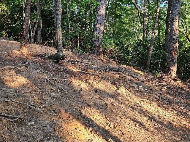 Land for sale in Pickens, Pickens County