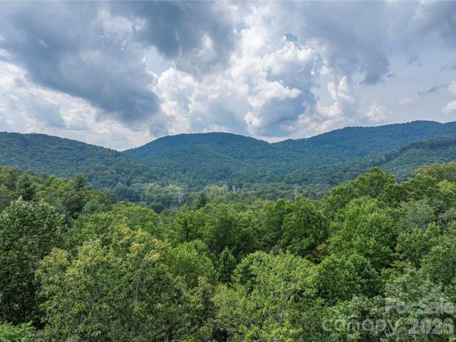 House for sale in Horse Shoe, North Carolina