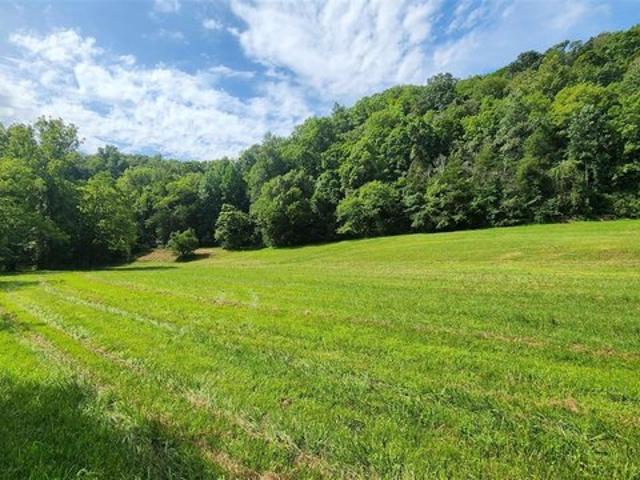 Land for sale in Burkesville, Kentucky