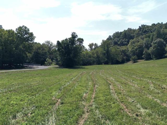 Land for sale in Burkesville, Kentucky