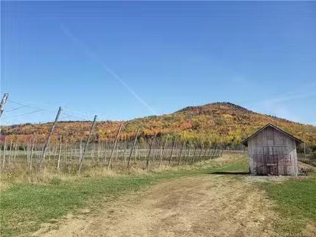 House for sale in Carleton, New Brunswick