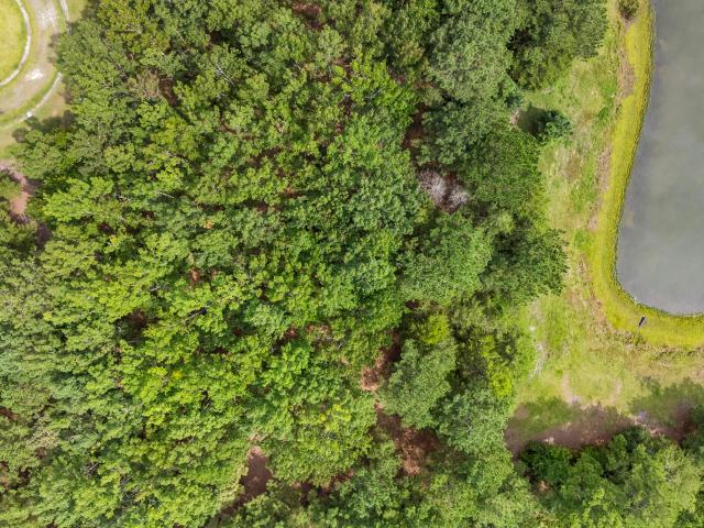 Land for sale in Wallace, North Carolina