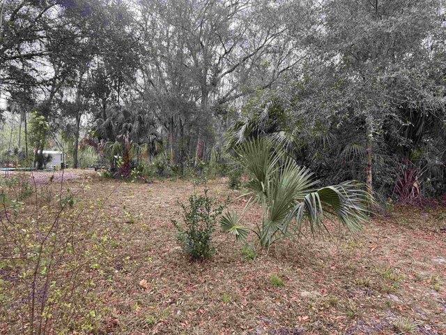 Land for sale in East Palatka, Florida