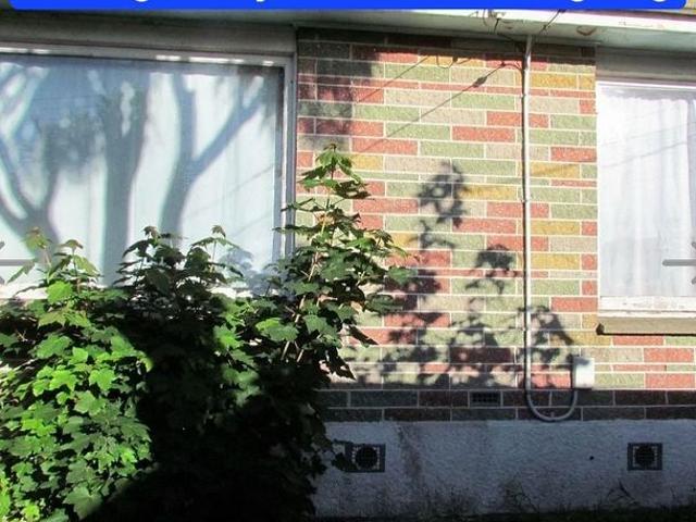 House for rent in Gardens, Dunedin