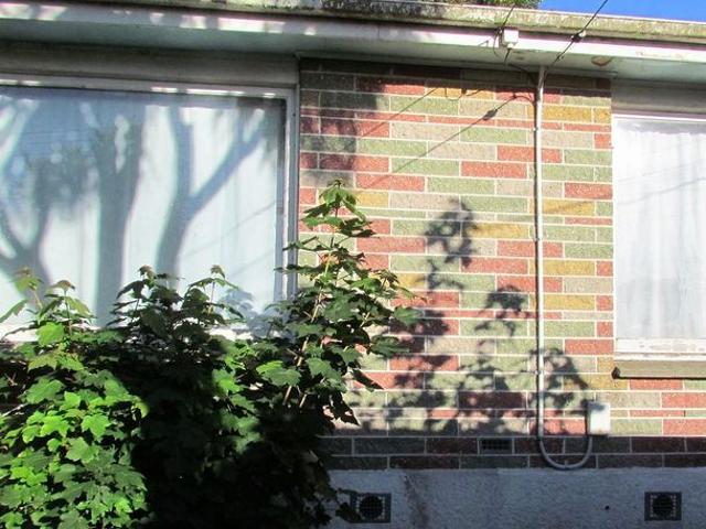 House for rent in Otakou