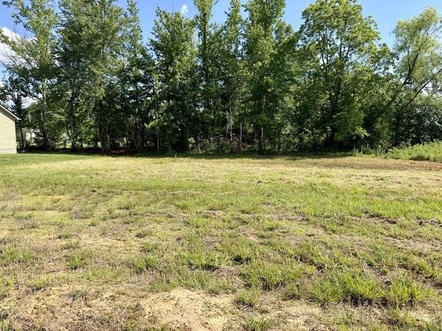 Land for sale in Tennessee