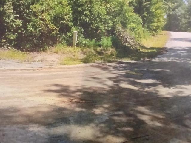 Land for sale in Marietta, South Carolina