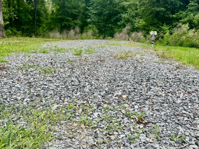 Commercial for sale in Natchez, Mississippi