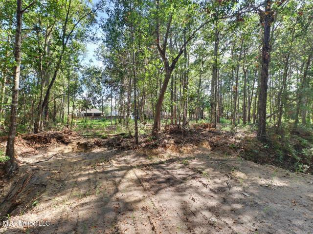 Land for sale in Pass Christian, Mississippi