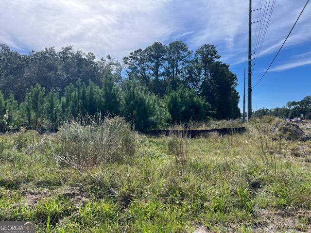 Land for sale in Glynn, Georgia
