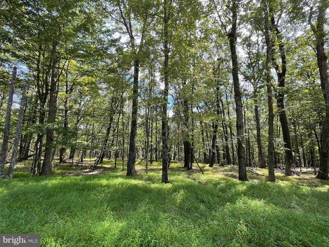 Land for sale in Zion Grove, Pennsylvania